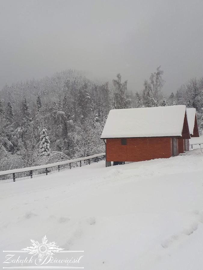 Chalet Zakatek Dziewiecsil