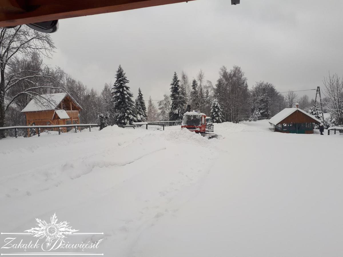 Chalet Zakatek Dziewiecsil