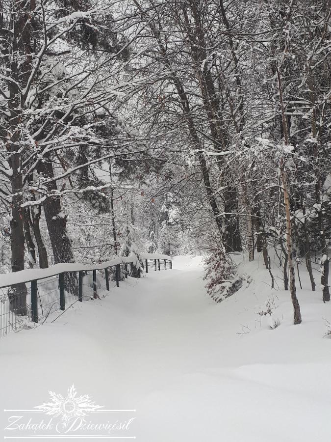 Chalet Zakatek Dziewiecsil Przyborow (Silesia)