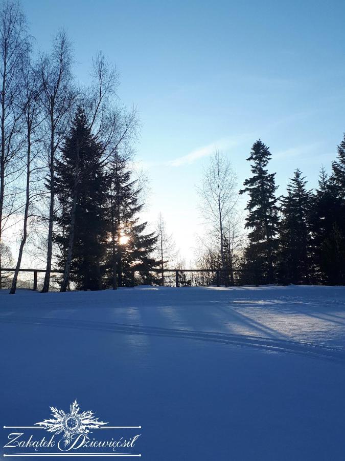 Chalet Zakatek Dziewiecsil *