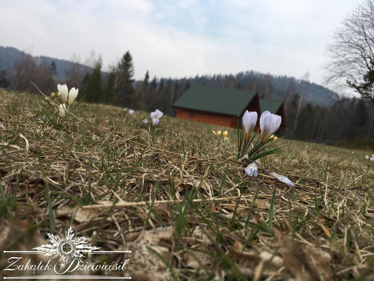 Chalet Zakatek Dziewiecsil *