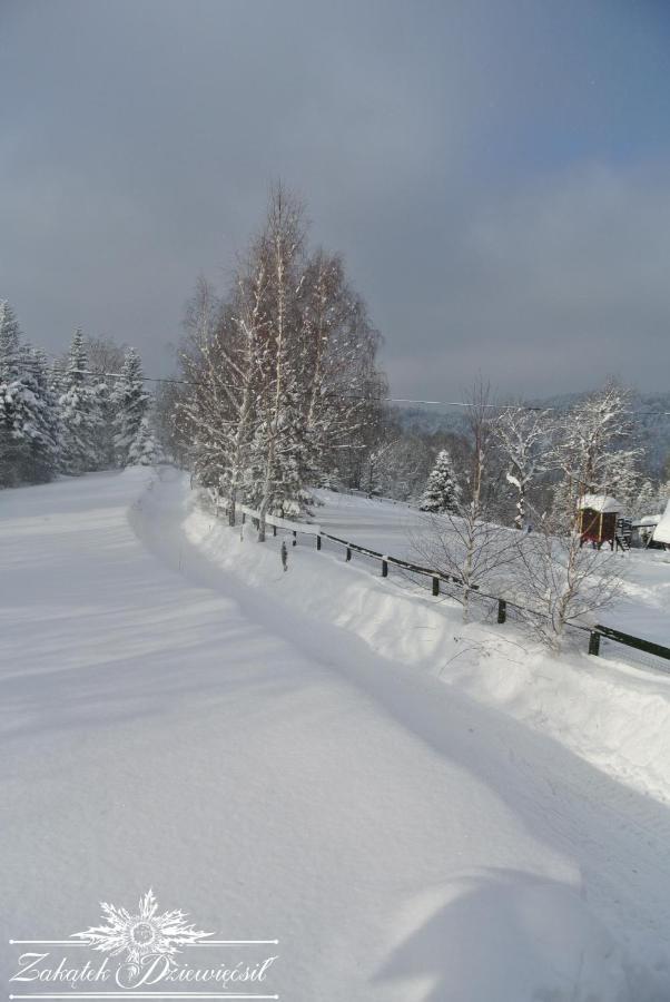 Zakatek Dziewiecsil Przyborow (Silesia)