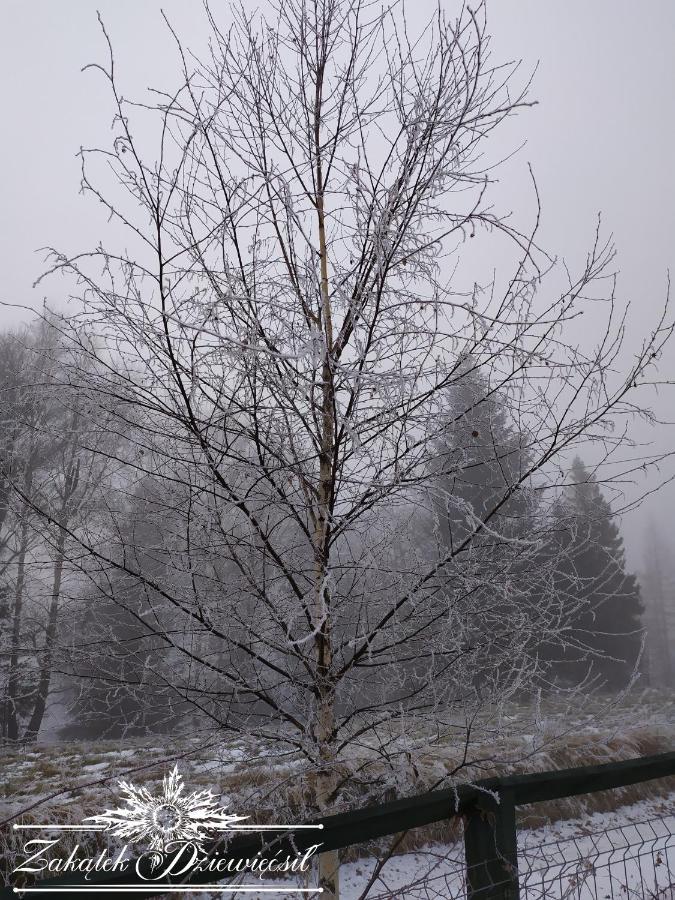 Chalet Zakatek Dziewiecsil *