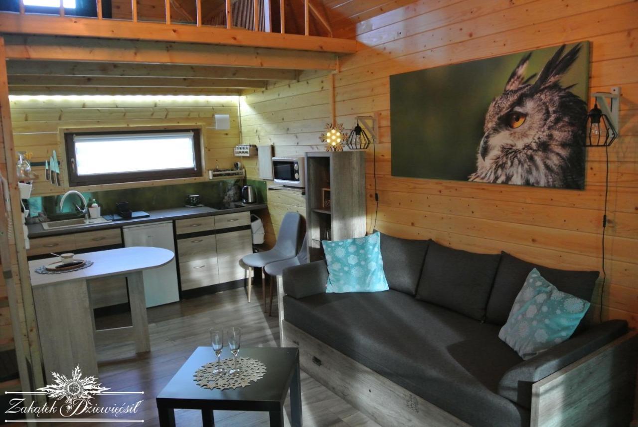Zakatek Dziewiecsil Chalet Przyborow (Silesia)